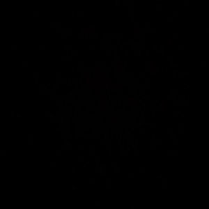 Meet your Posher, Paris